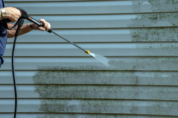Best Concrete Surface Cleaning in Deer Park, TX